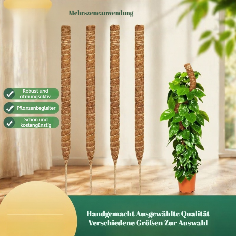 Monstera Stützstab, Moosstab für Grünlilie, Pflanzenstütze aus Kokosfaser