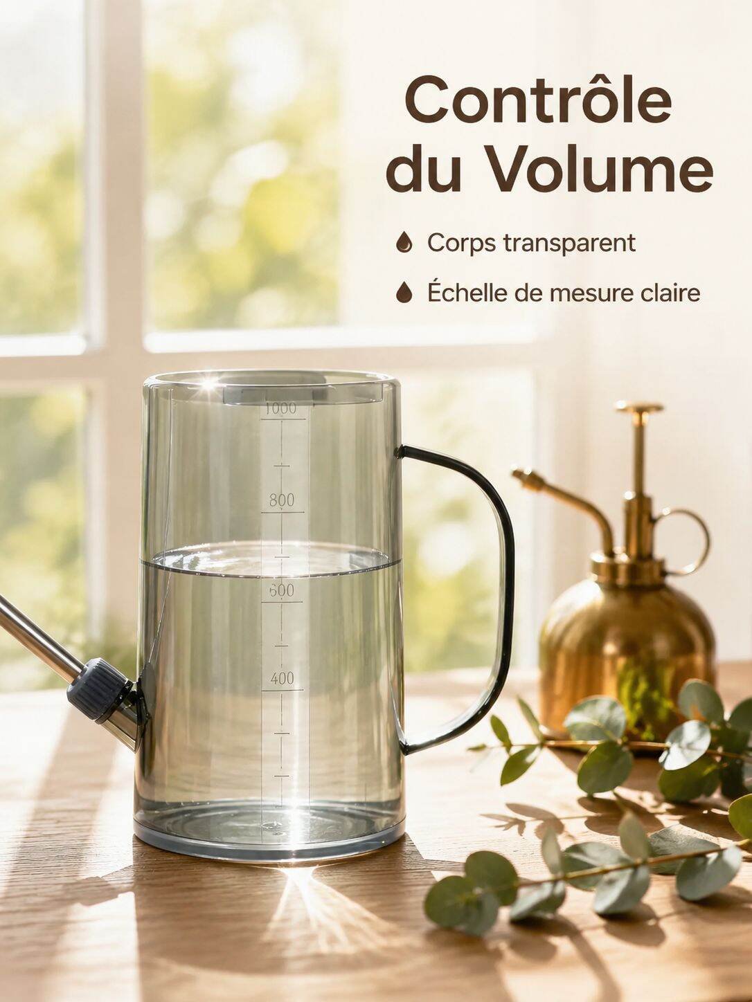 Arrosoir transparent gradué en acier inoxydable, outil pour plantes en pot