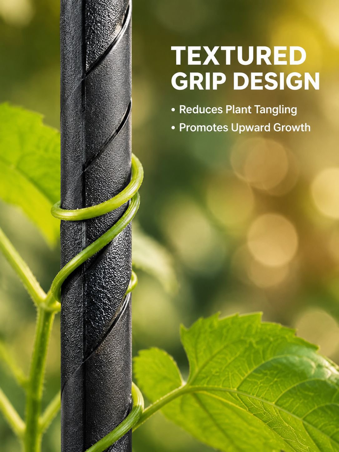 Climbing Support Poles for Roses and Grapes