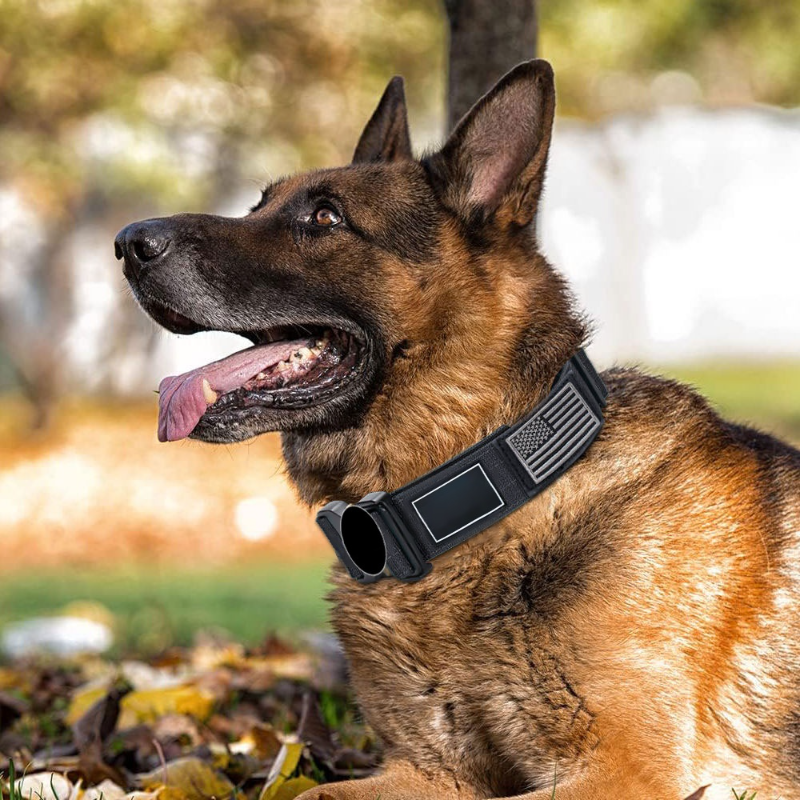 調節可能な金属バックル付きペット用首輪