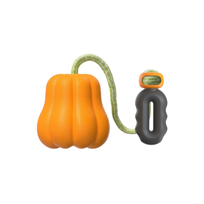 강아지 호박 장난감