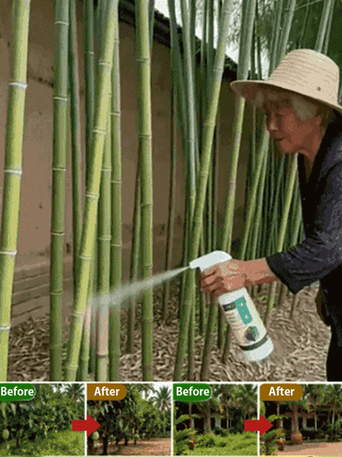 Fast-Acting Weed & Bamboo Removal Spray, 1 Application, 5 Years Weed-Free!