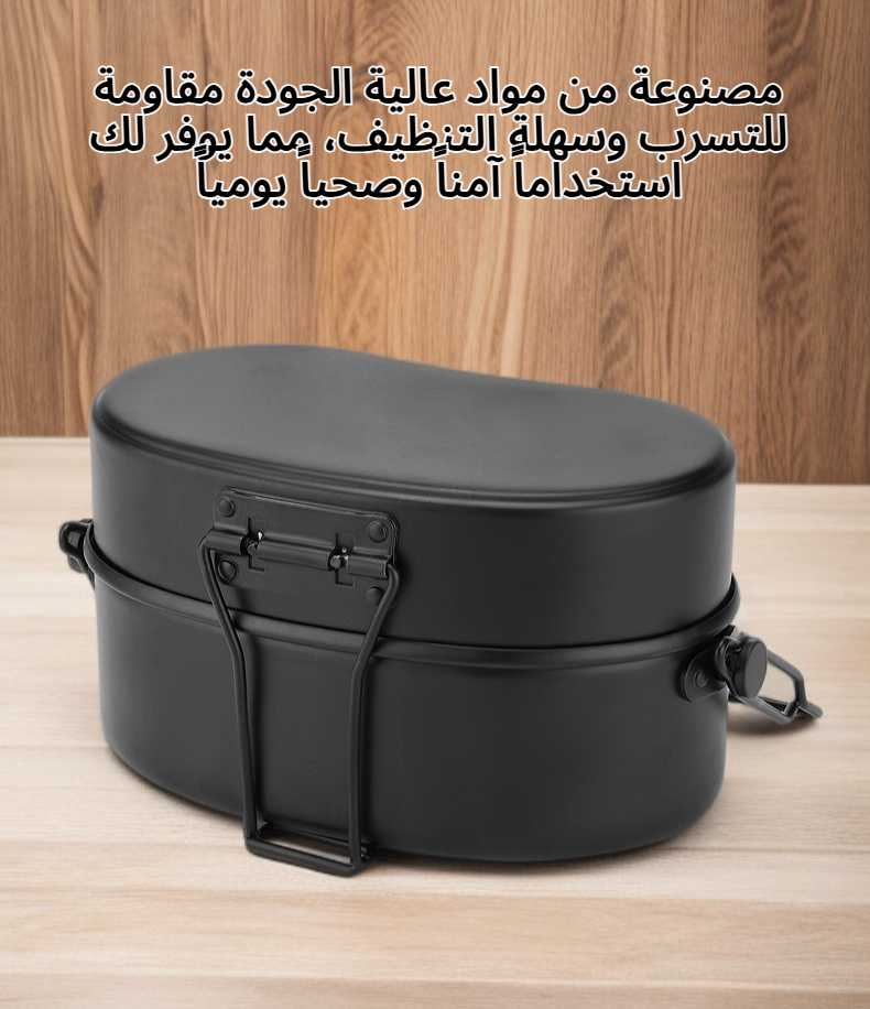 علبة بينتو مزدوجة الطبقات بمقبض تصميم أنيق