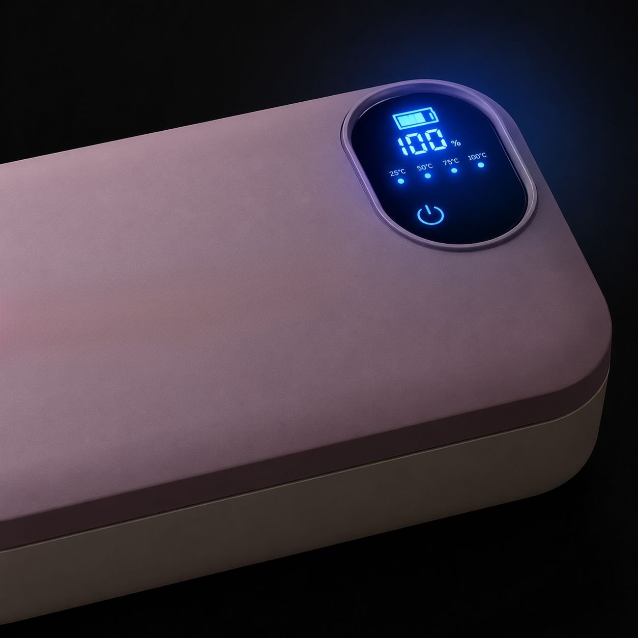 Portable electric lunch box with food compartments