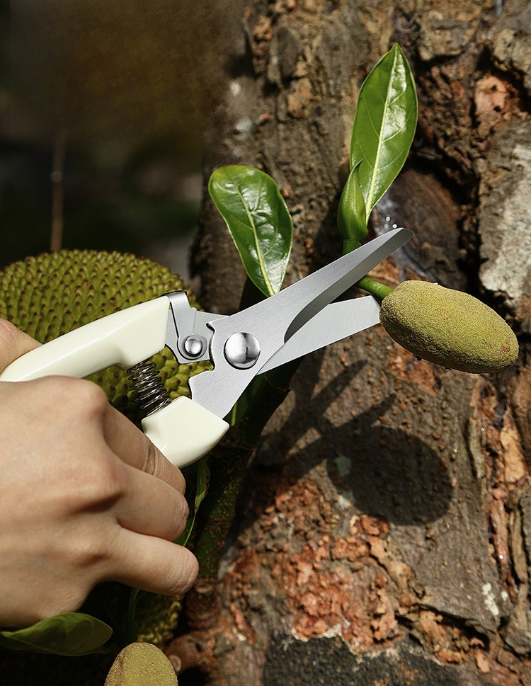 フルーツ摘み取りハンドツールのアップ画像