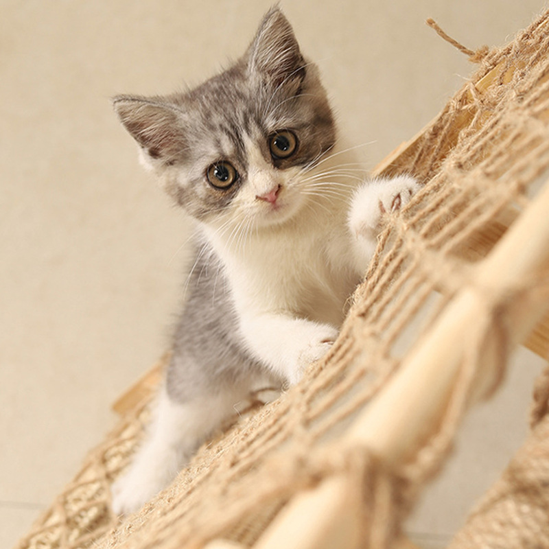 多機能天然木耐久性抜け毛防止一体型キャットタワー
