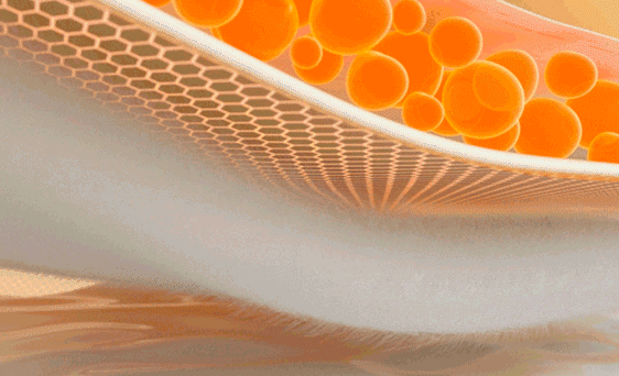 4b1107f0b343711c67b65d16d9fd67e6.gif