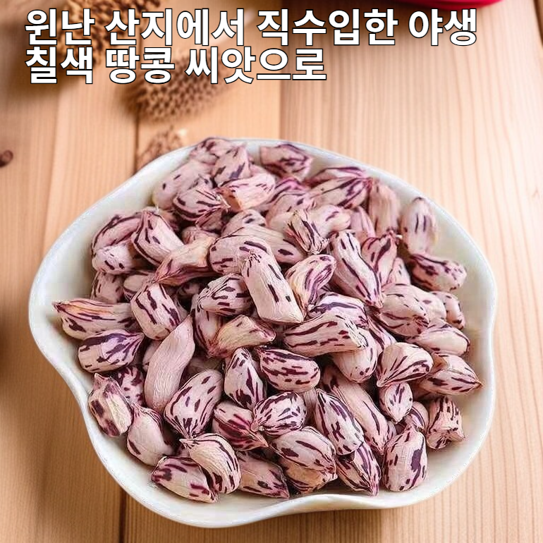 윈난 야생 칠색 땅콩 씨앗