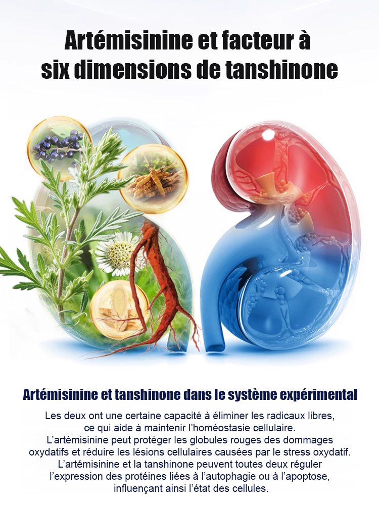 Capsules de soutien de la prostate