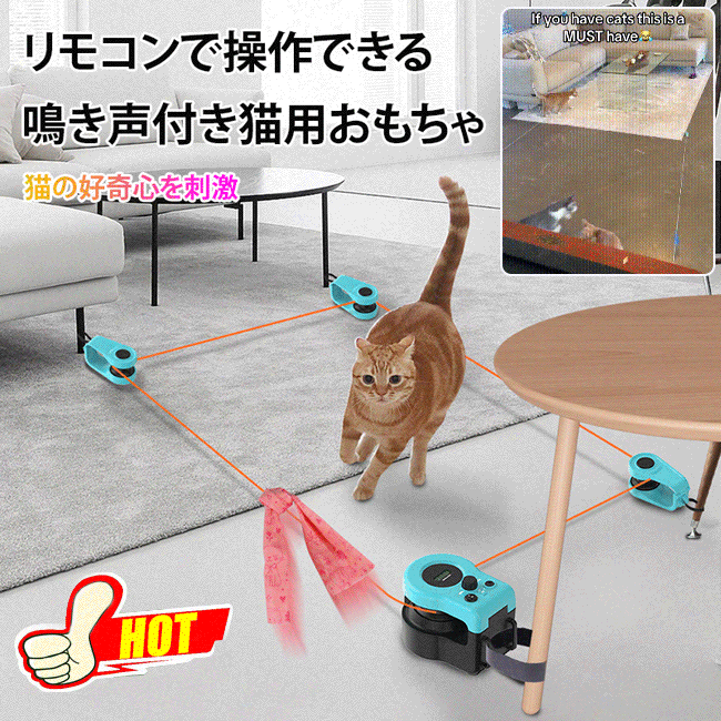 リモコンでいつでもどこでも、猫の好奇心を刺激する羽遊び