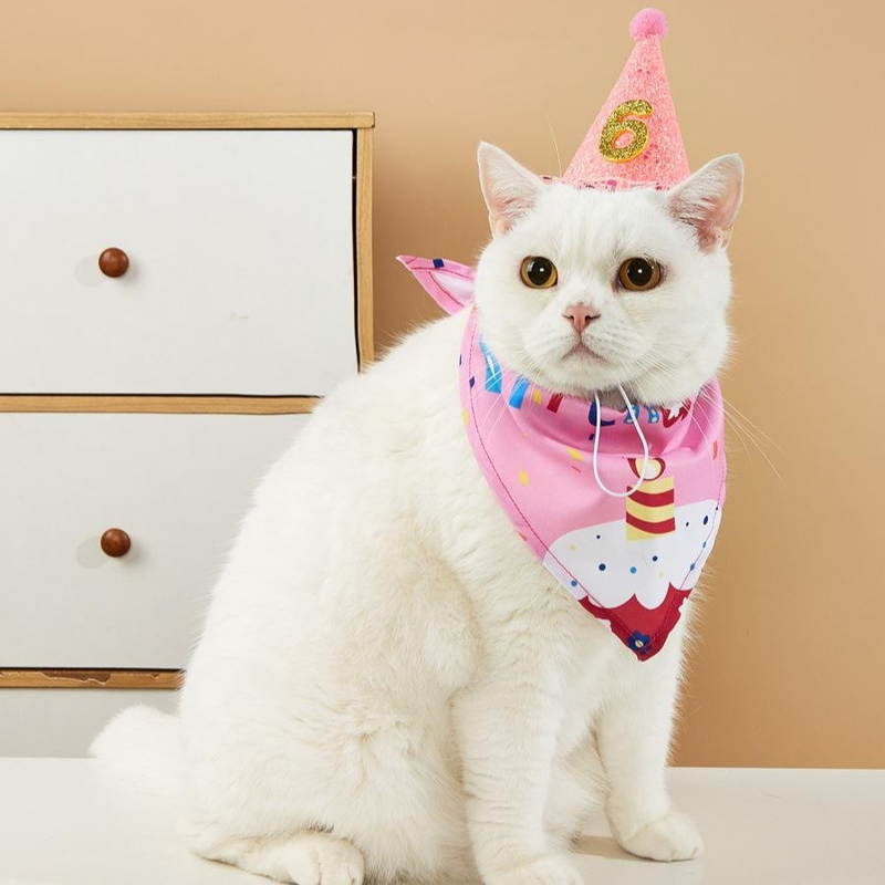 Set de cumpleaños para mascotas
