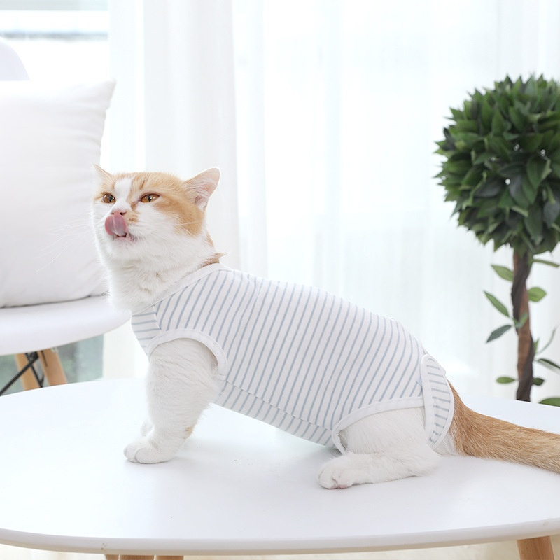 貓咪護理服 薄款防舔透氣衣服