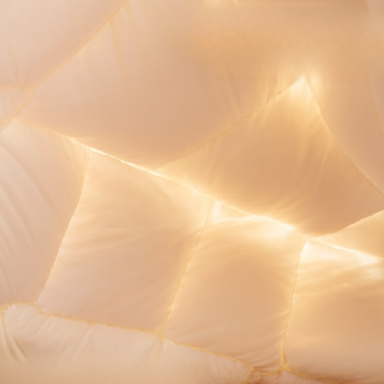 f905f5df1d0eb1fe95b7c6dad6c0c41a.png