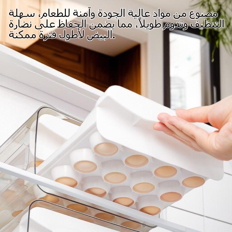 علبة بيض متعددة الاستخدامات، صندوق غداء محمول