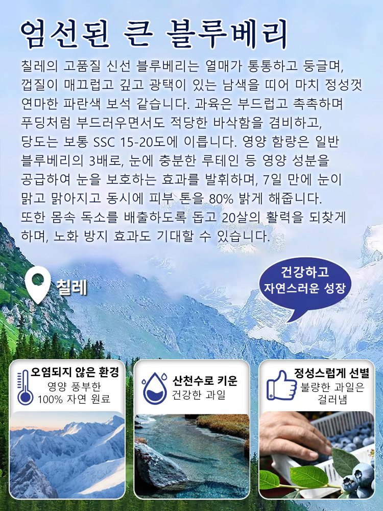 무설탕 블루베리 야생 과일 말린 것 설탕 얼룩 큰 과일 노소 누구나 말린 것