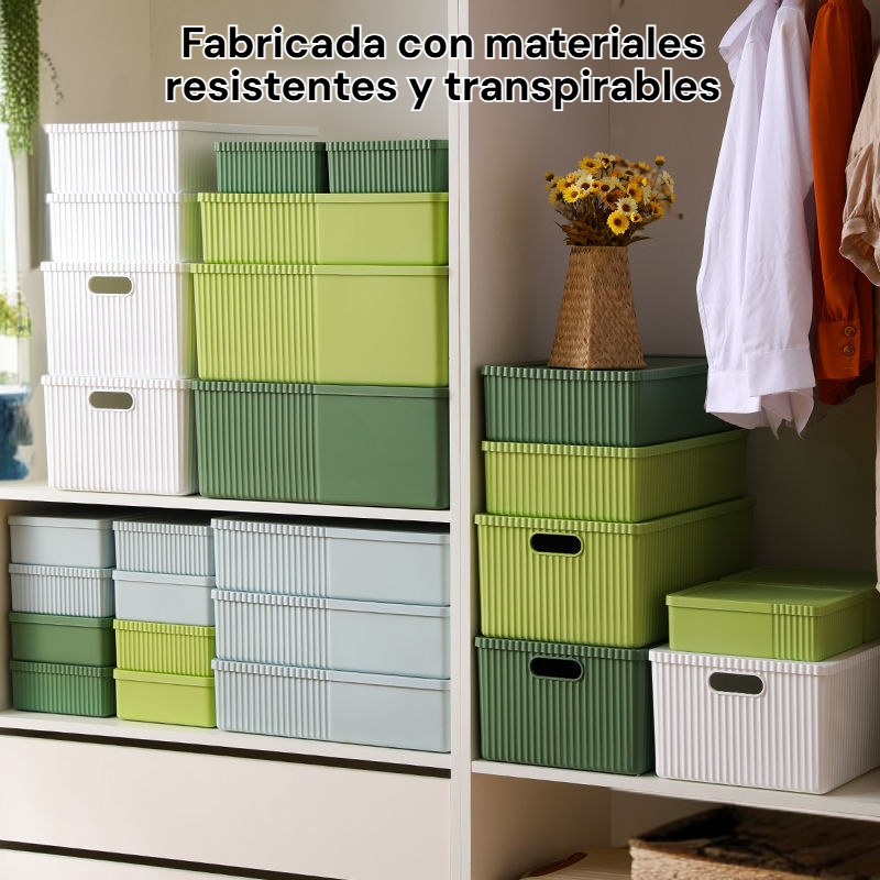 Caja de almacenamiento para calcetines y ropa interior