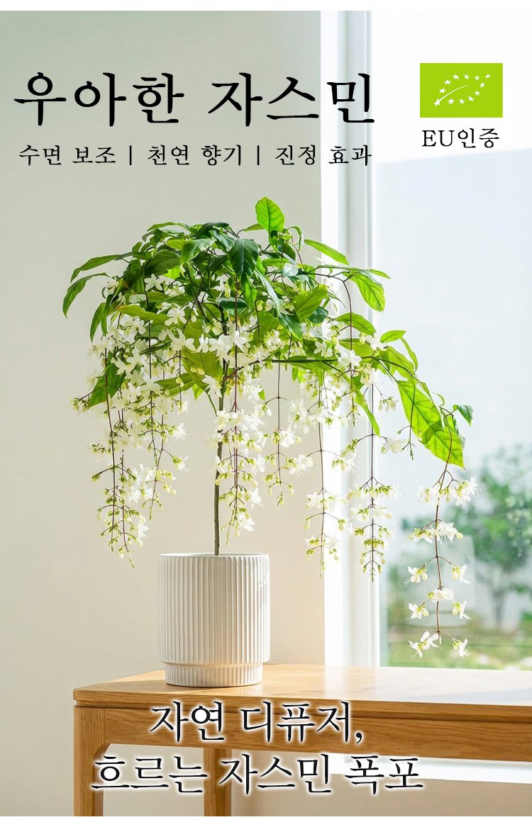 花_04.jpg