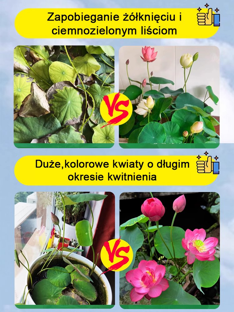 Specjalne tabletki odżywcze do hydroponicznych roślin oczyszczających