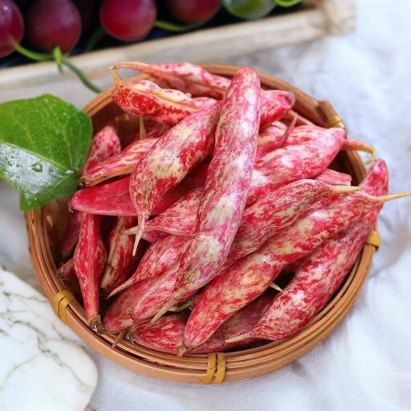 Stangenbohnensamen mit Rankhilfe – Anbautechnik für Frühling und Herbst, ertragreiches Gemüse