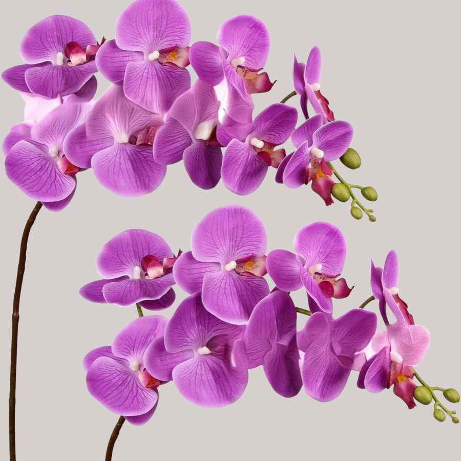 ตุ๊กตาดอกกล้วยไม้ฟาแลนนอปซิสประดับบ้าน