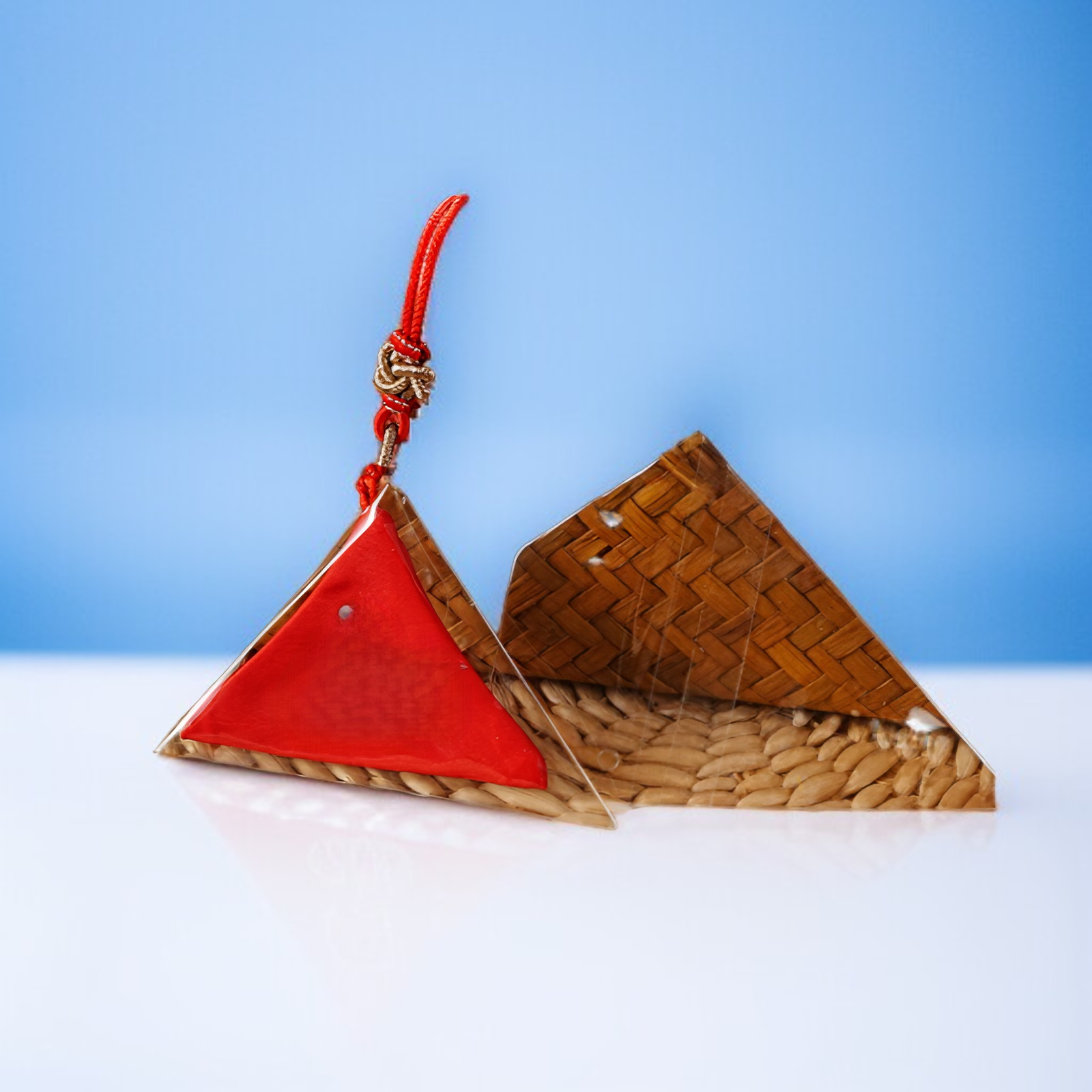 ฝาครอบป้องกันฝุ่น