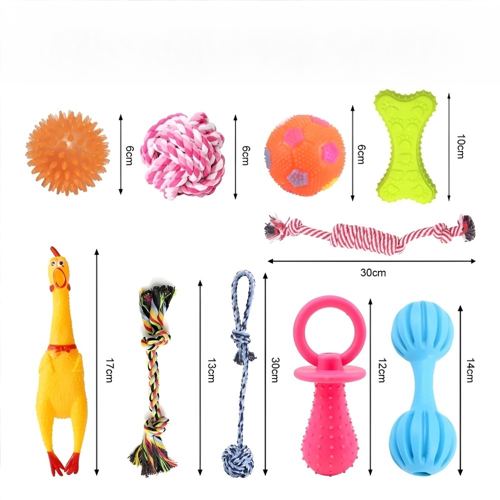 Pet toy dog   set, dog training toy, Teddy Golden Retriever