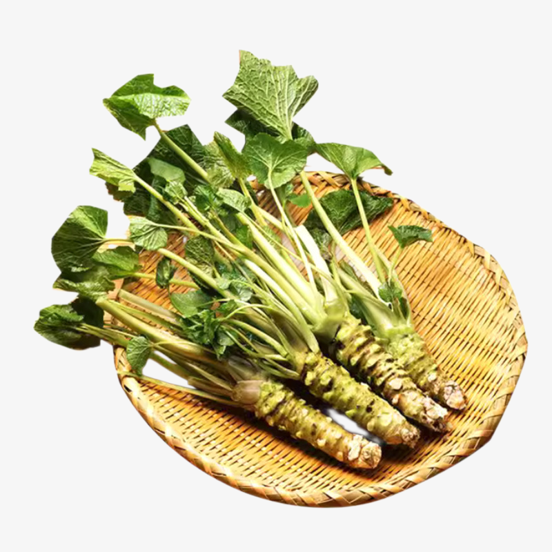 Senfsamen für den Hausgarten, das ganze Jahr verwendbar