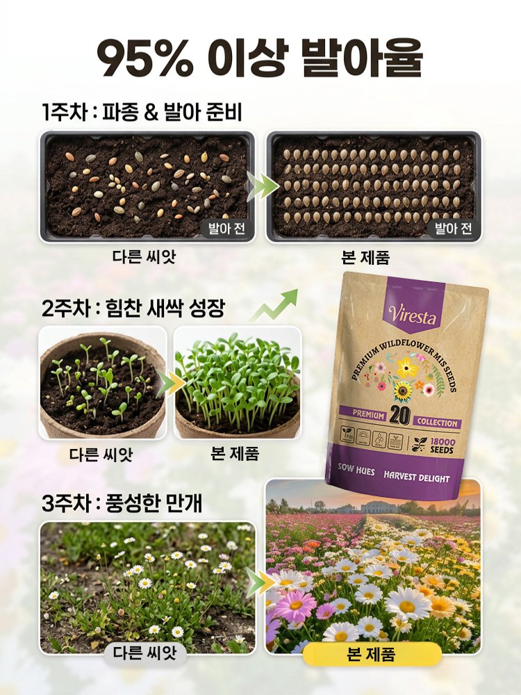 사계절 개화 혼합 색상 꽃씨, 연중 피어나는 꽃, 시들지 않아요