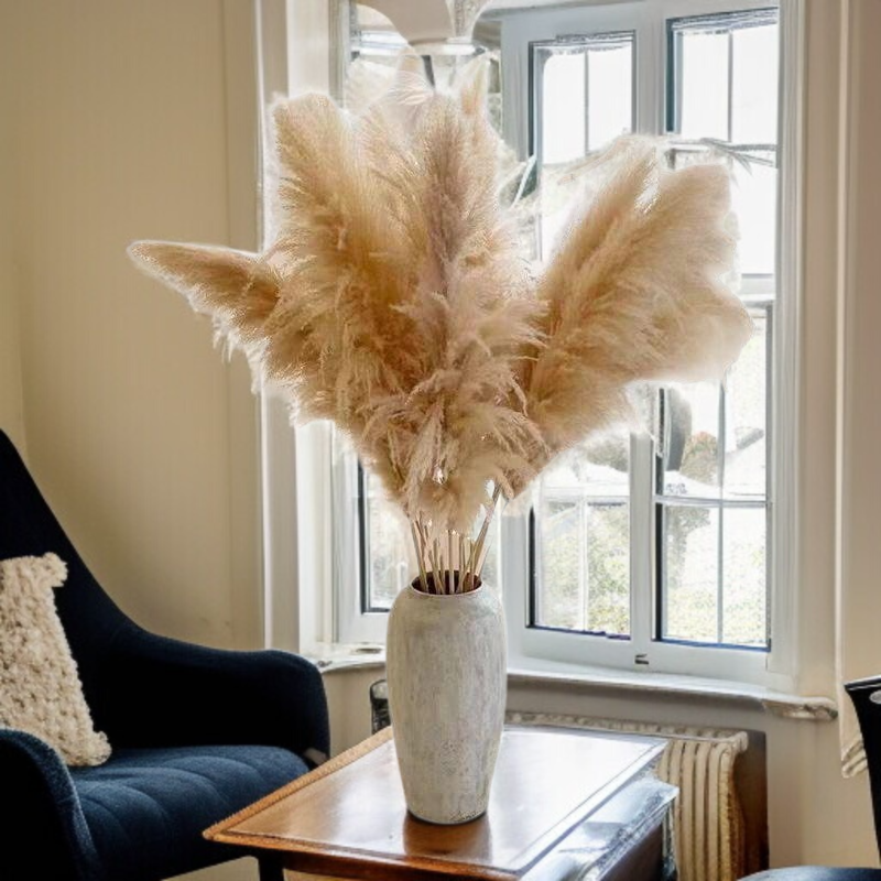 ريد زهرة حقيقية الزهور المجففة الديكور