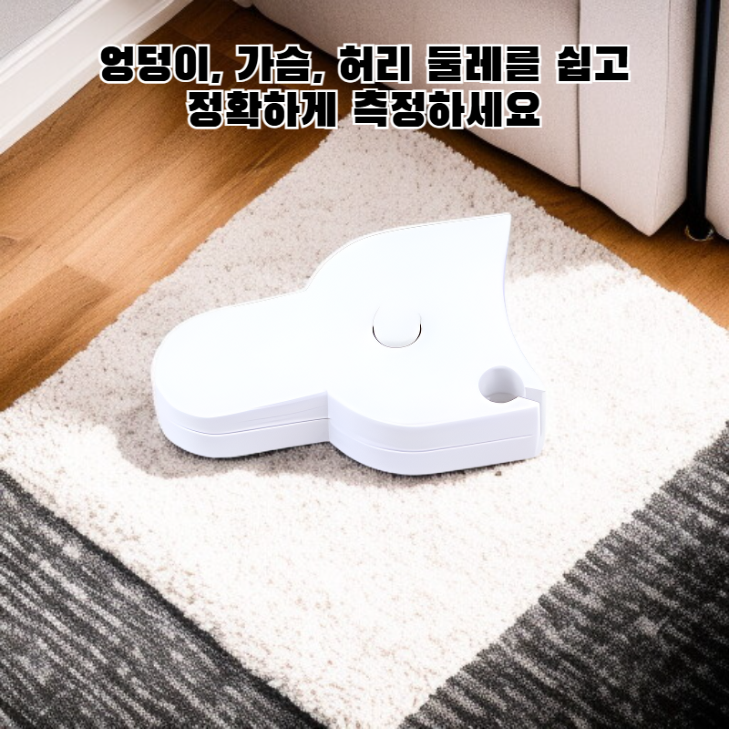 측정자