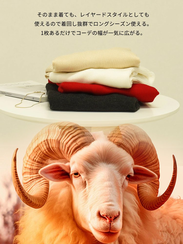 タートルネック ドルマンスリーブ ニット