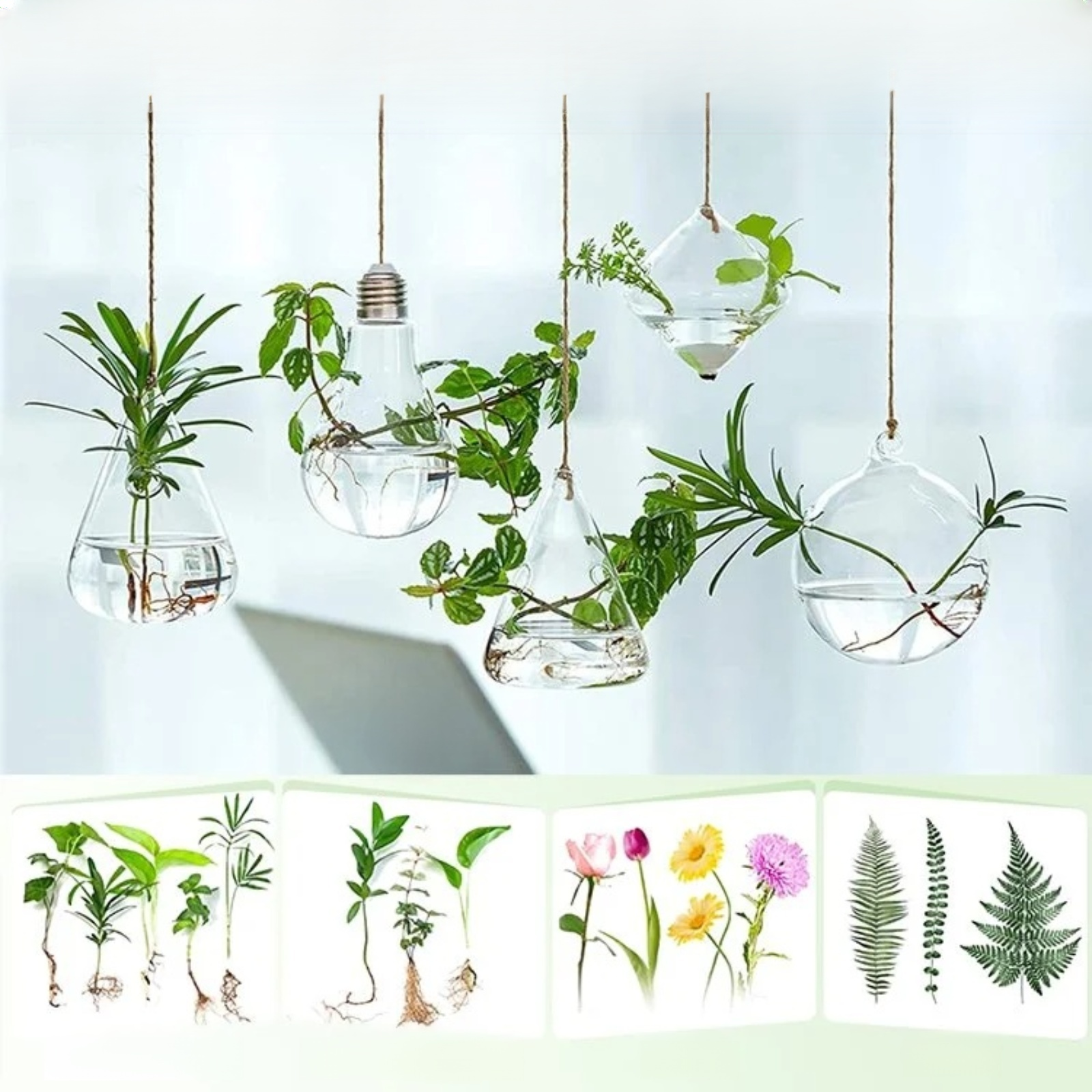 Récipient suspendu pour fleurs hydroponiques