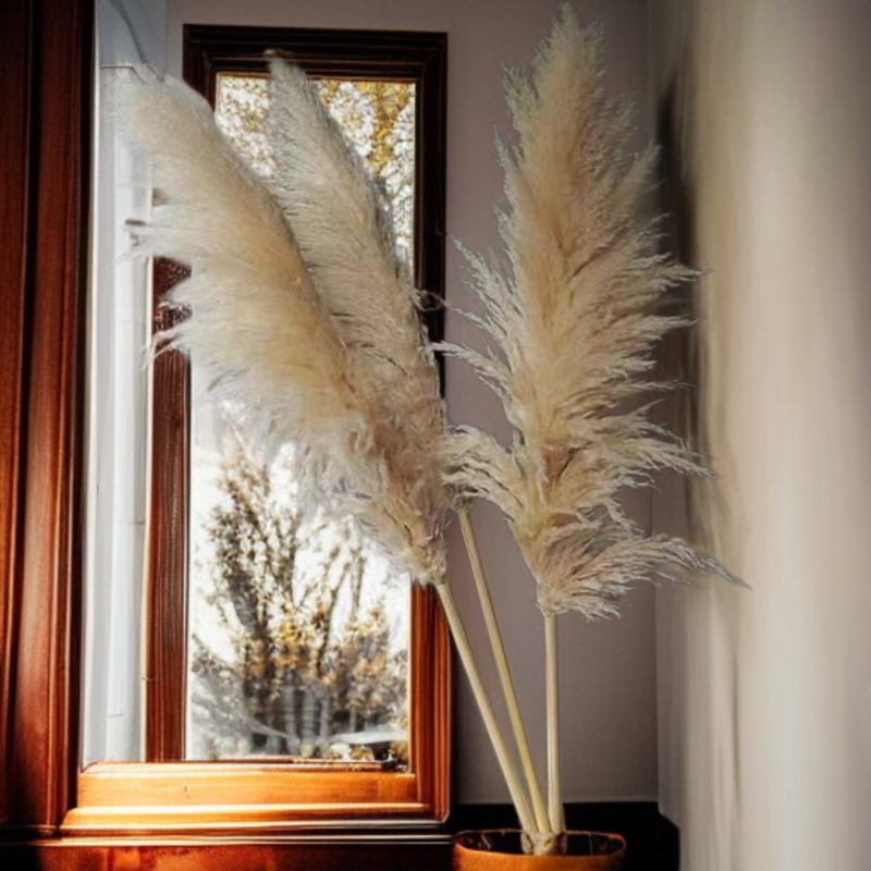 زهرة طبيعية مجففة حمراء على الطاولة