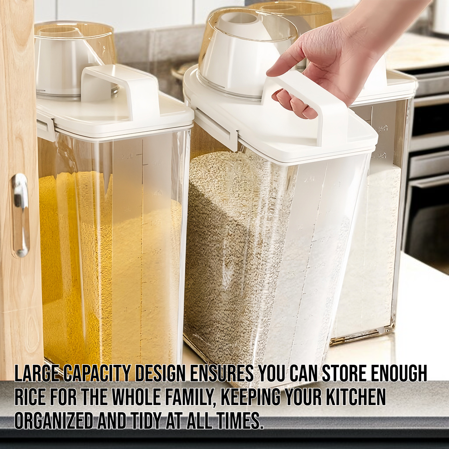 Rice container for home use