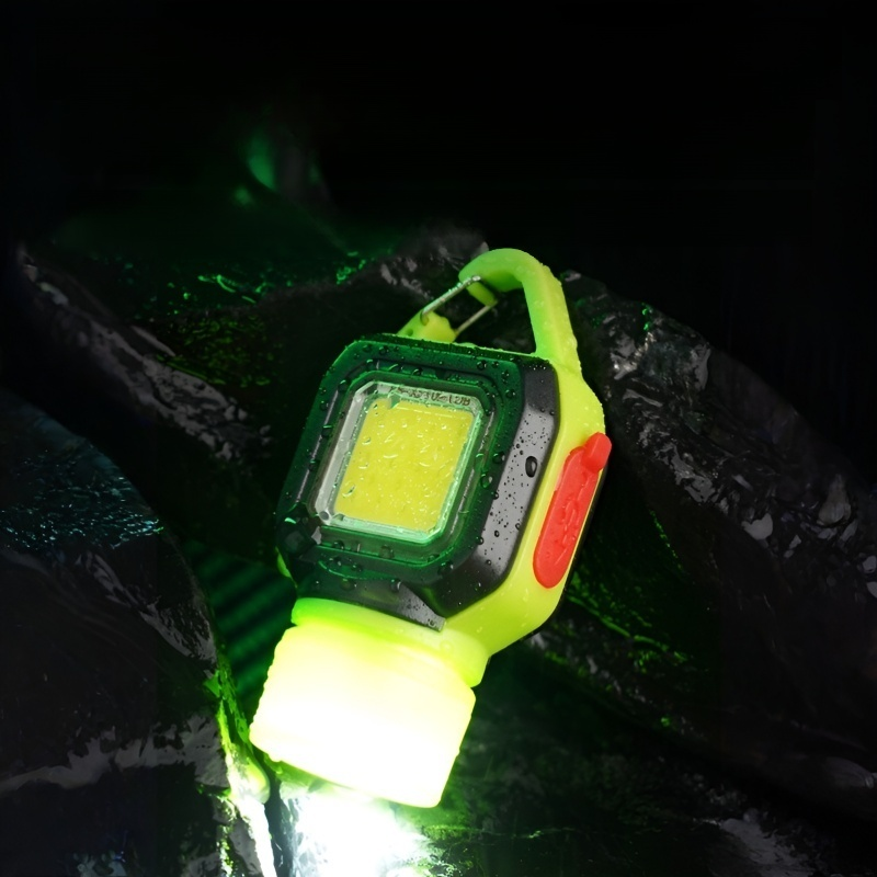 Multifunctional emergency safety light