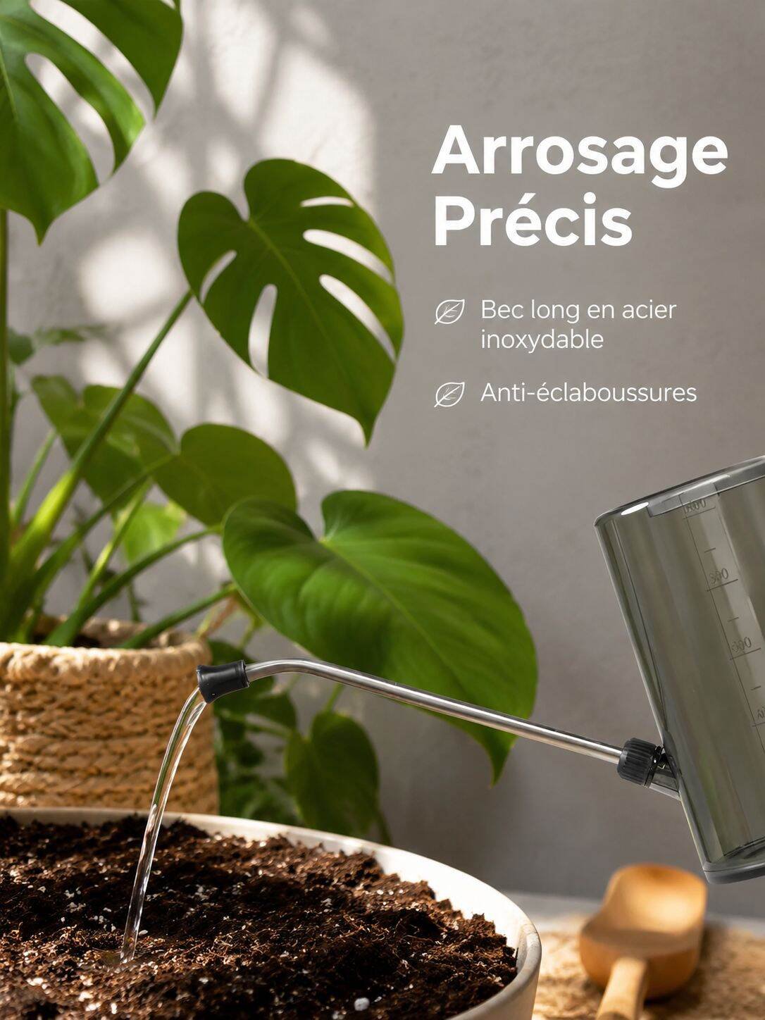 Arrosoir transparent gradué en acier inoxydable, outil pour plantes en pot