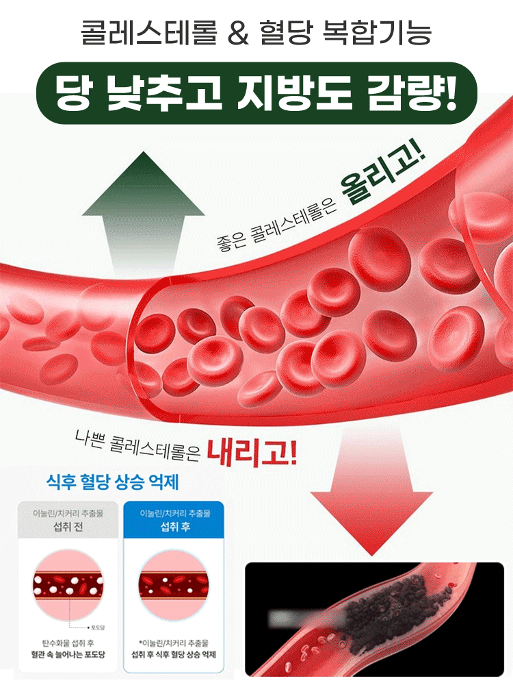 영양 건강 빨간 배추씨