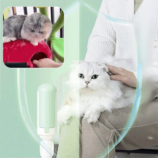 양면 반려동물 털 제거 브러시