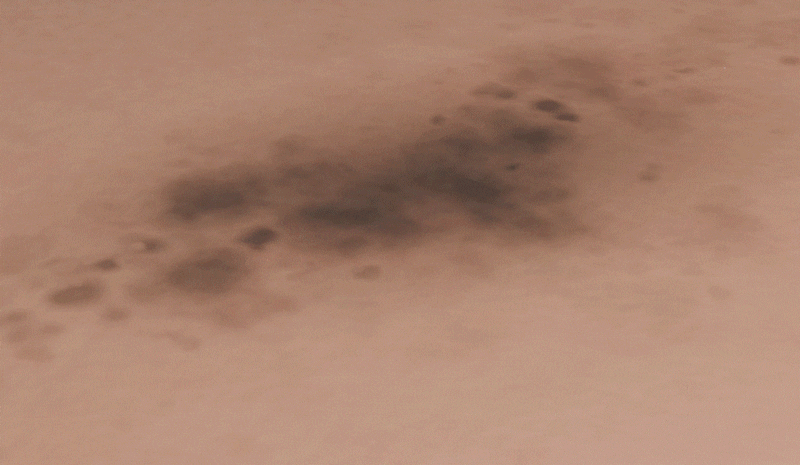 2b4ee7a5bd3d0e8b2f501a3ff2a9725d.gif