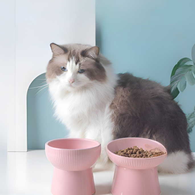 Schrägdesign-Keramiknapf für Haustiere, niedliche Einzel-Futterschale mit Nackenschutz