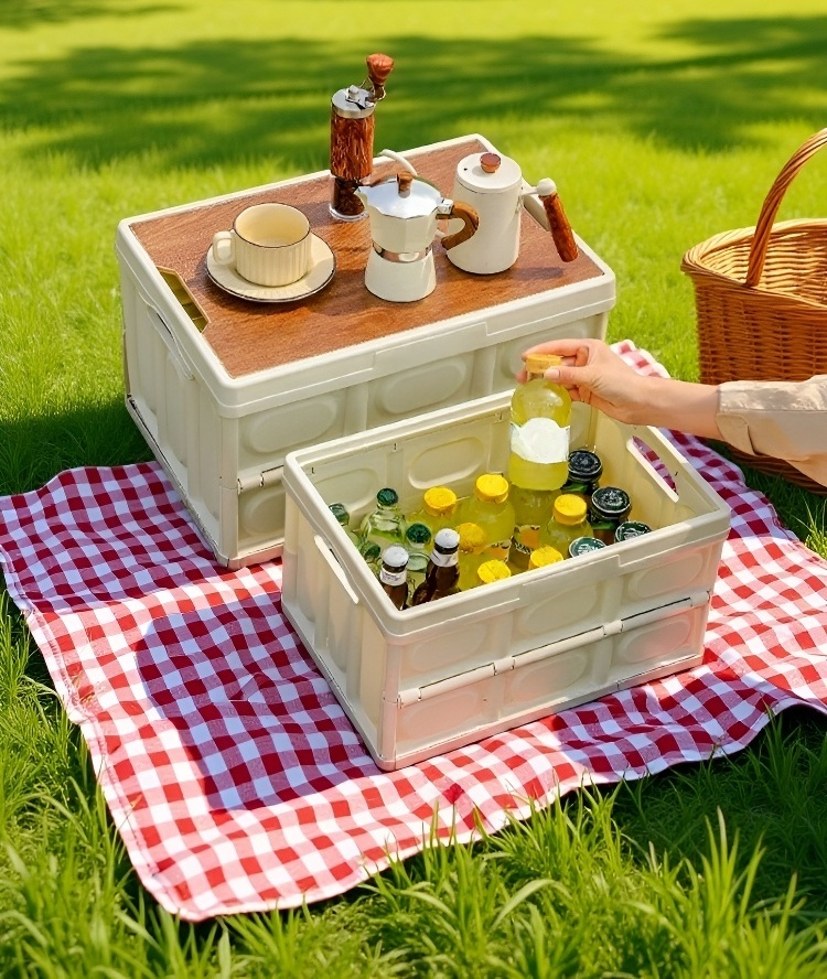 صندوق تنظيم الإيرادات البرية للأنشطة الميدانية