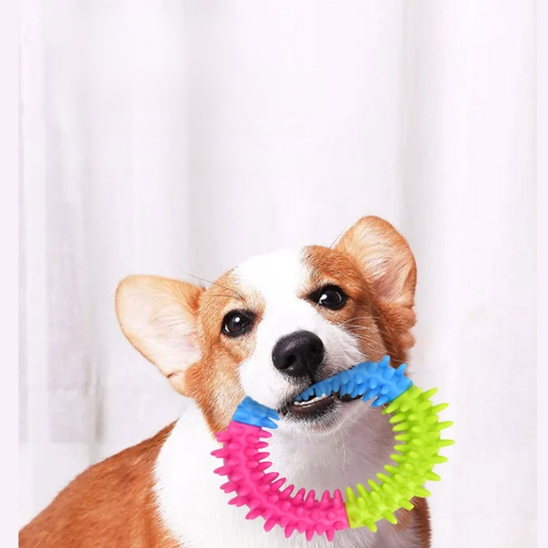 狗狗啃咬橡膠玩具