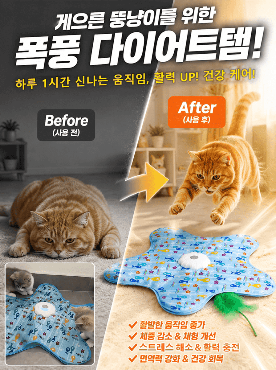 스트레스 해소 자동 회전 전동 고양이 장난감