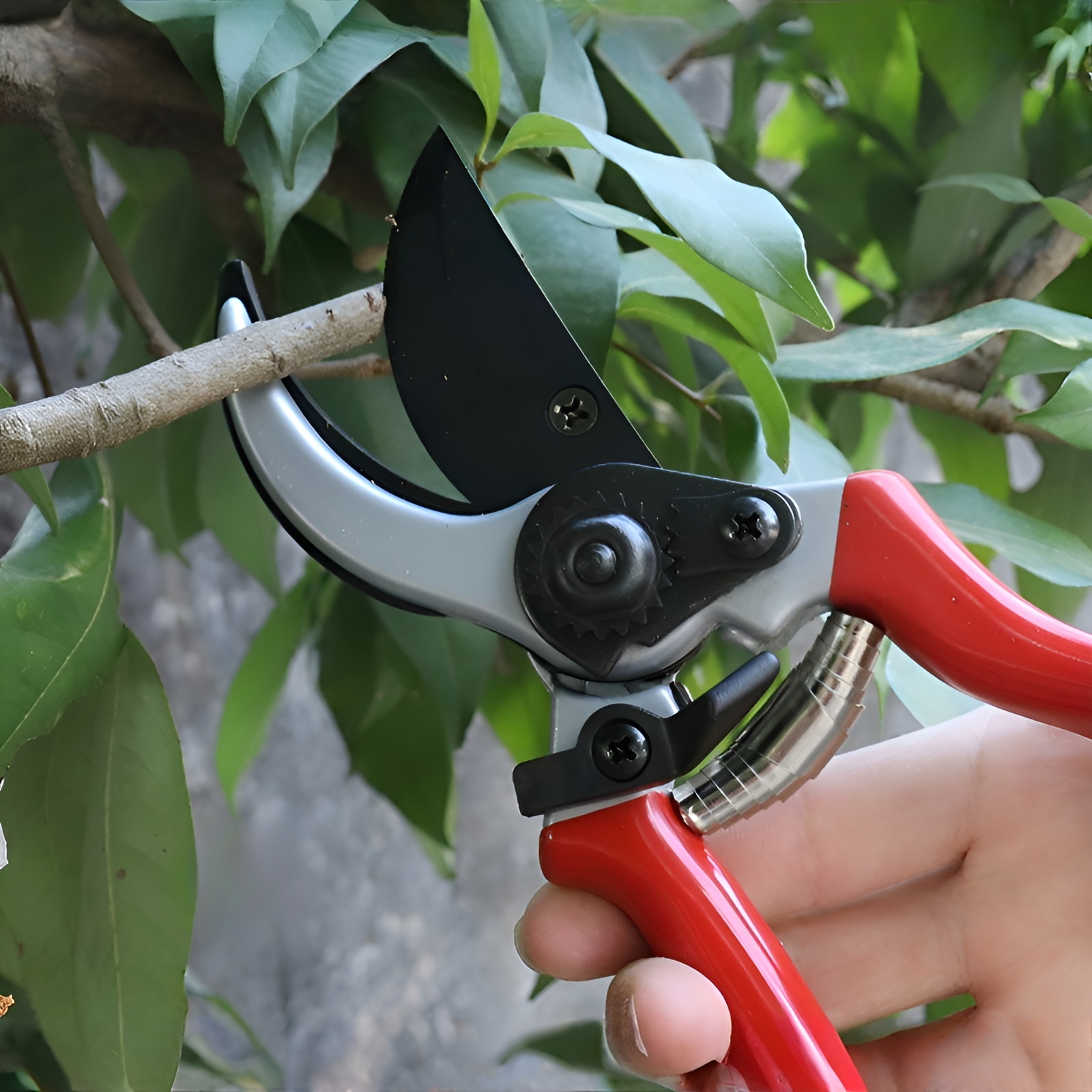 Garten-Astschere für Obstbäume, robuste Baumschere