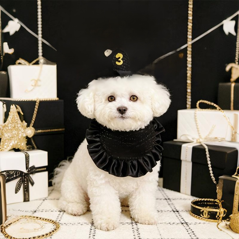 Nuevo sombrero para fiestas de mascotas