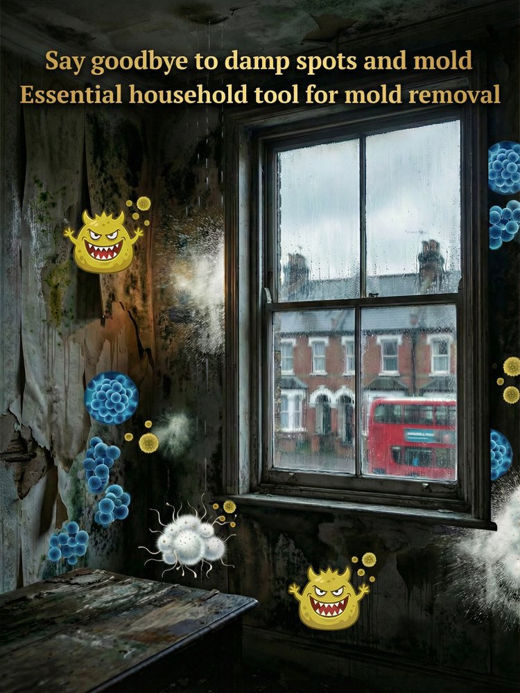 1 Second Wall Mold Removal