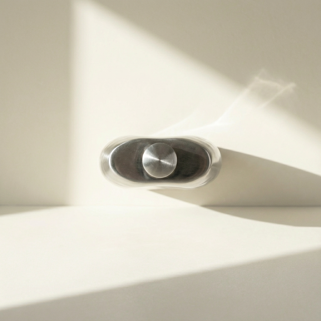 스테인리스 보온 술병