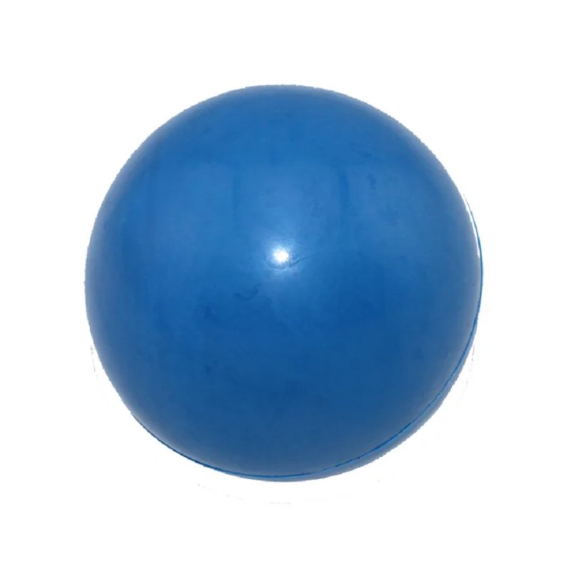 ペットがおもちゃを噛む