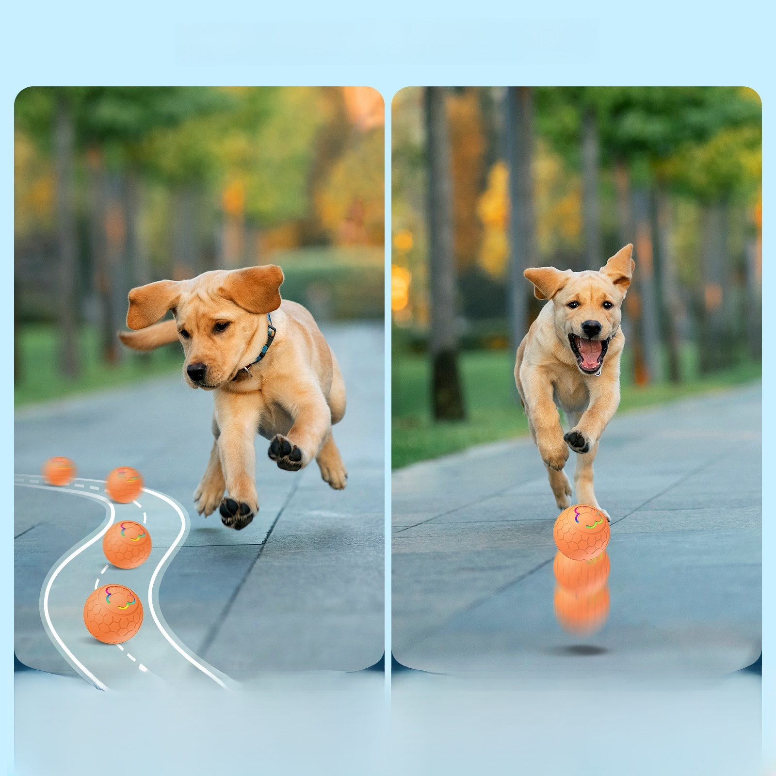 智能電動狗狗玩具球