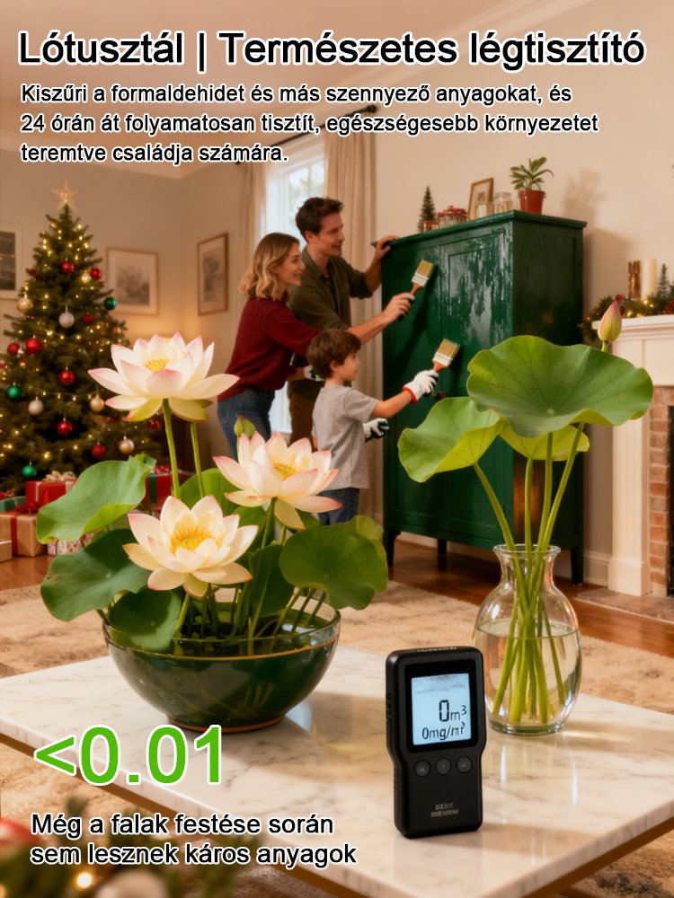 Prosperující s vodou! Přírodní čistička vzduchu! Rozkvetlý dům s voňavým hydroponickým lotusem